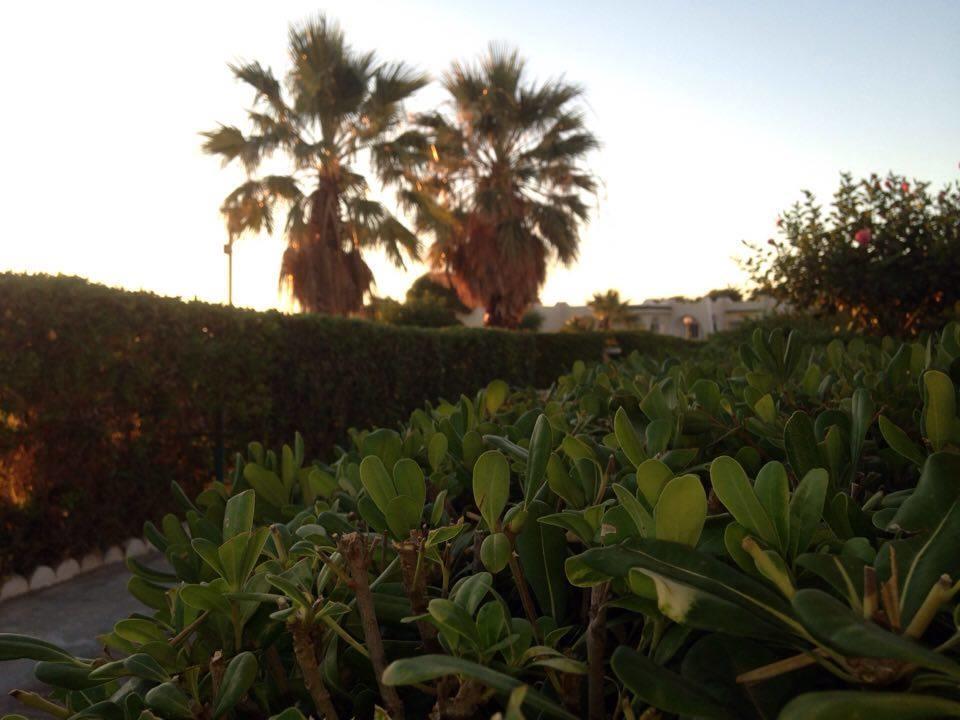 Hotel Complexe Touristique Sidi Salem Bizerta Zewnętrze zdjęcie